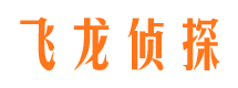 滨海新区市侦探调查公司